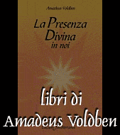 Libri di Amadeus Voldben